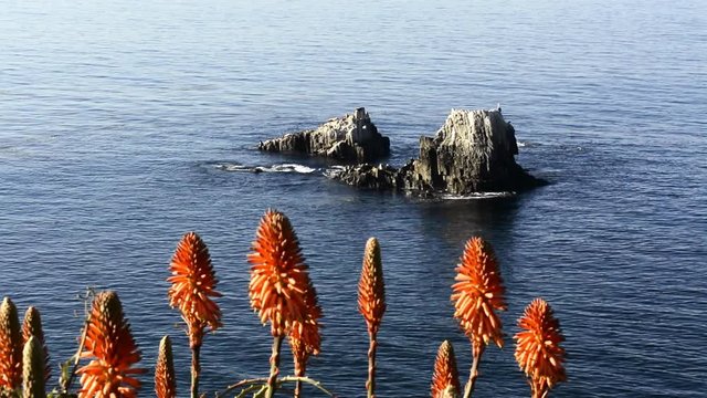 Famous Seal Rocks in Laguna Beach California on a beautiful, sunny day shows a calm, flat ocean.