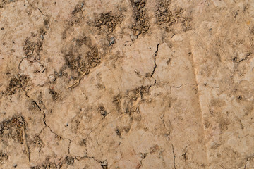 Cracked dry land