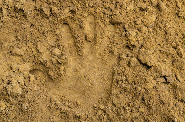 Hand print on the sand