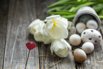 Obraz na płótnie Canvas Easter eggs and white tulips