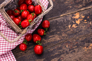 organic food concept