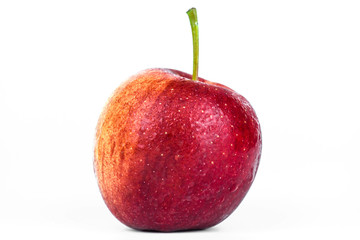 red apple isolated on the white background.