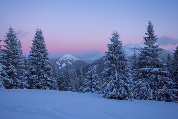 Magic evening in the winter mountains after snowfall