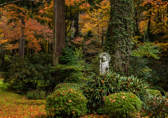 Autumn landscape in Japanese temple