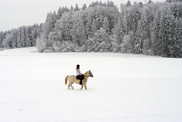 Cavalière dans un paysage enneigé