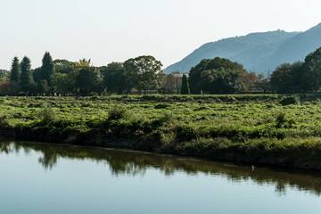 京都嵐山　桂川