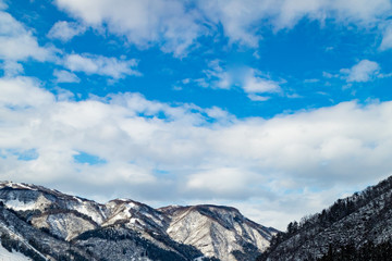 white,snow