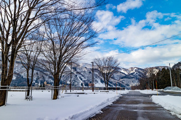 white,snow