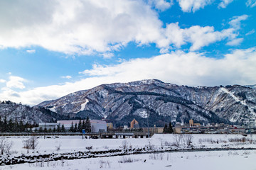 white,snow
