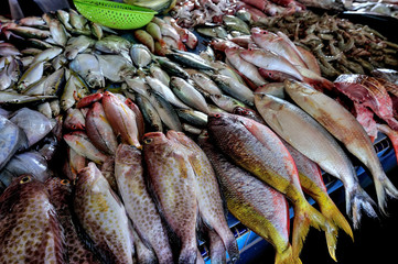Fresh seafood on ice at the fish market