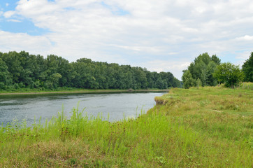The natural landscape in the summer.