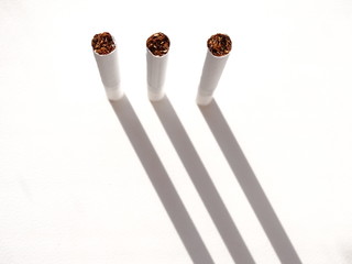 Cigarettes and tobacco products.