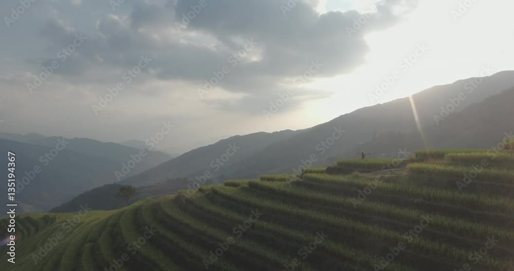 Poster Top view or aerial shot of fresh green and yellow rice fields.Longsheng or Longji Rice Terrace in Ping An Village, Longsheng County, China. - Posters
