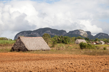 Landschaft Valle de Viñales, Cuba