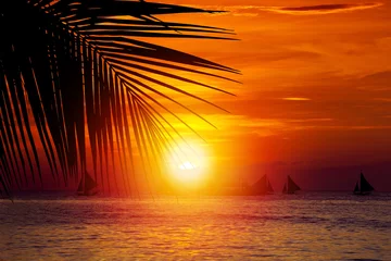 Sunset on beach with sailing boats