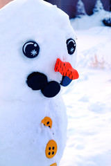 Snowman In Winter Made of Snow Eyes Carrot Nose Wintertime