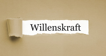 Willenkraft