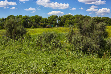Beehives mounted on a trailer