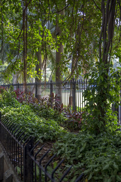 Oval Maidan In Mumbai, India