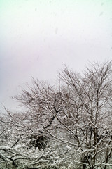 Sarugakyo Hot Spring Akaya Lake