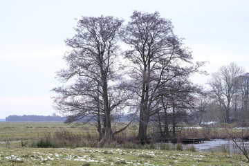 An der Wümme im Winter