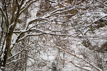 Sarugakyo Hot Spring Akaya Lake