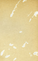 Old Paper texture. Vintage page in antique book