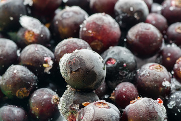 frozen berries closeup