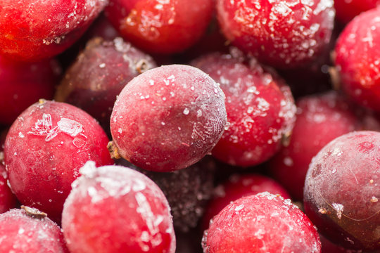 frozen berries closeup