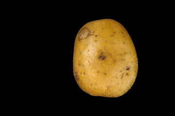 potato on black