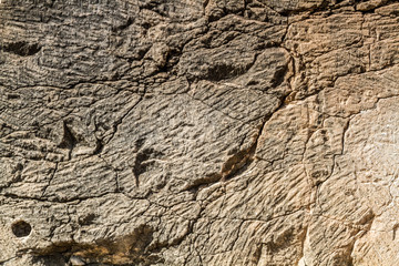 Stone texture background, rock surface