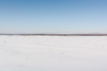 Field landscape in snow