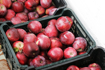 Basket of red apples