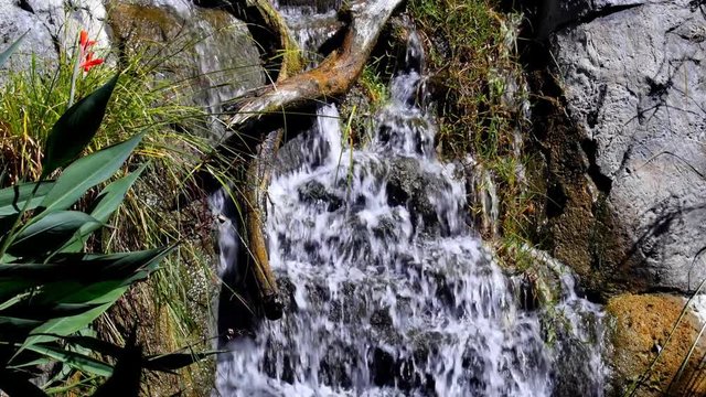 A fresh water stream flows down an embankment and into a stream during a sunny, bright day.