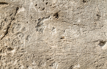 Stone texture background, rock surface