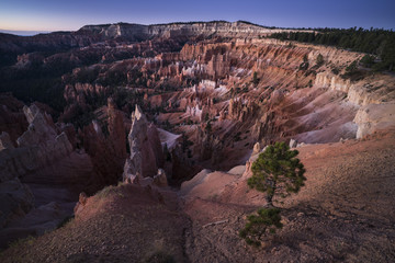Bryce Canyon Dawn