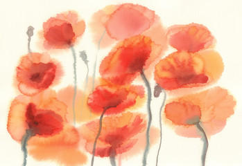 sunny poppy field watercolor