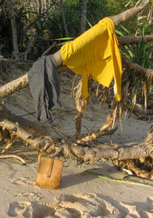 abandoned clothes on tree branch on a tropical beach afternoon - escape from everyday life