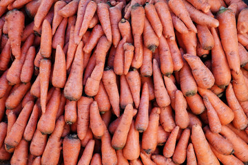 Organische Möhren für vegetarische Ernährung