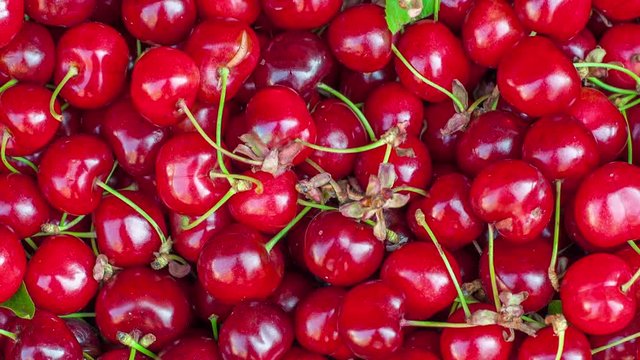 Many red cherries with green plant on a market stall view from the top close up still image and zoom in