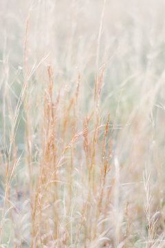 http://www.sunglowphotography.com