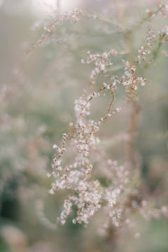 http://www.sunglowphotography.com