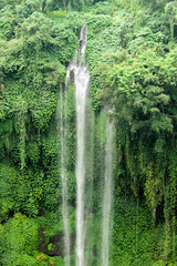 fresh tropical waterfall and green flora