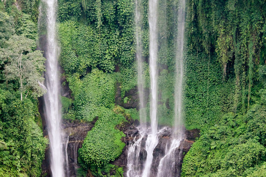 tropical waterfall in the fresh green rain forest