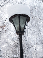Street lamp covered with snow in the park