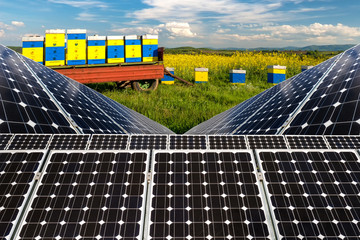 Photo collage of solar panels against the crops background - conceptual image