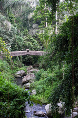 stone bridge over a tropical river in the rain forest