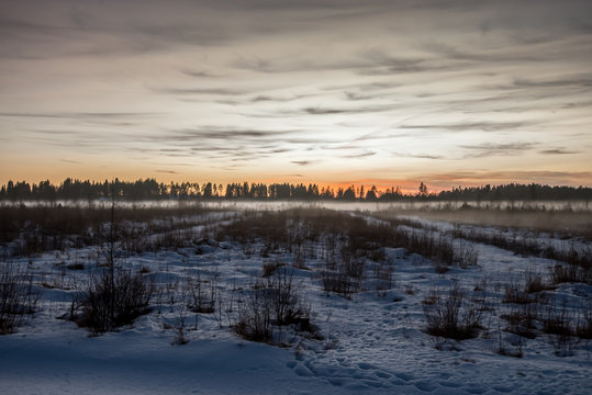 Field at winter
