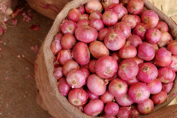 Red organic vegan onions in jute