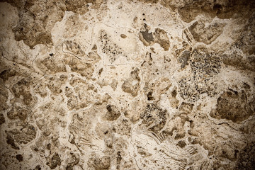 Dirty, scratched old coquina wall